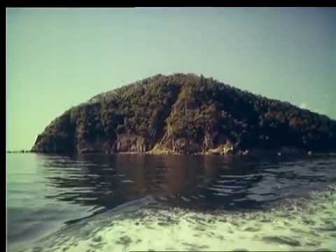 Видео: Всесоюзный Пионерский Лагерь "Океан" 1988 год