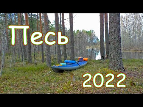 Видео: Песь 2022