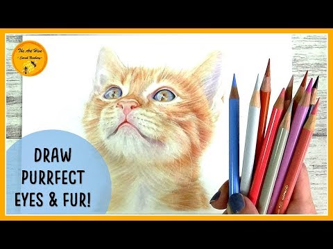 Видео: Рисуем РЕАЛИСТИЧНЫЕ КОШАЧЬИ ГЛАЗА, МОРДУ, ШЕРСТЬ И УСЫ ЦВЕТНЫМИ КАРАНДАШАМИ — пошаговое руководство
