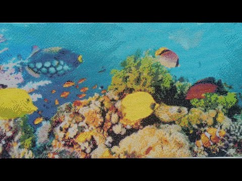 Видео: Алмазная вышивка. Мои последние работы. Претензии к TEMU