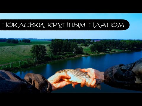 Видео: РЫБАЛКА НА ВОЛШЕБНОМ ОЗЕРЕ. Карась на поплавок.