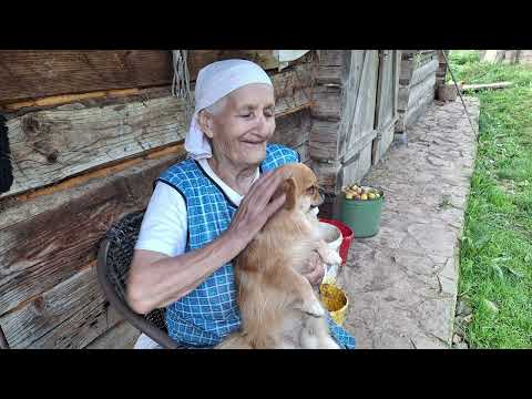 Видео: 88 лет – и Все еще Неутомимая! Бабушка Готовит и Ведет Домашнее Хозяйство 👵