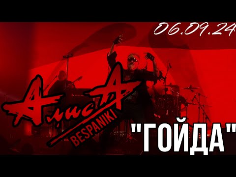 Видео: 06.09.24 - АлисА - "Гойда" - KkinchevFest