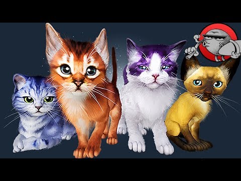 Видео: ОНИ ПОВСЮДУ - Kitten'd