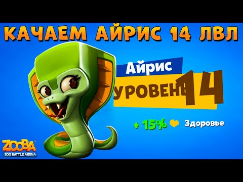 Видео: КАЧАЕМ ЗМЕЮ АЙРИС НА 14 ЛВЛ В ИГРЕ ZOOBA