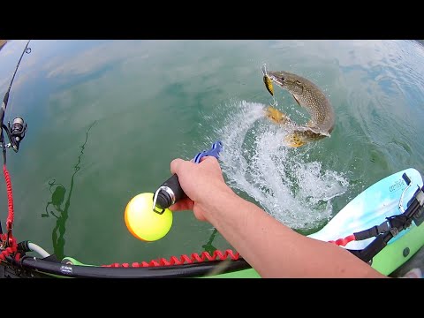 Видео: TROLLING Catfish, Walleye, Pike with KAYAK   Тролинг на бяла риба, сом и щука с каяк