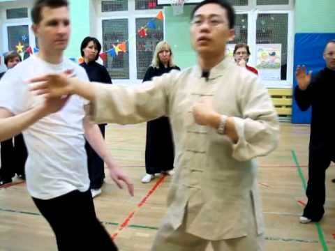 Видео: Ван Лин Тайцзи Ян 24 формы Туйшоу [2]