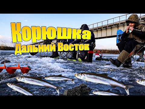 Видео: Рыбалка в Приморском крае. Посьет 2024.