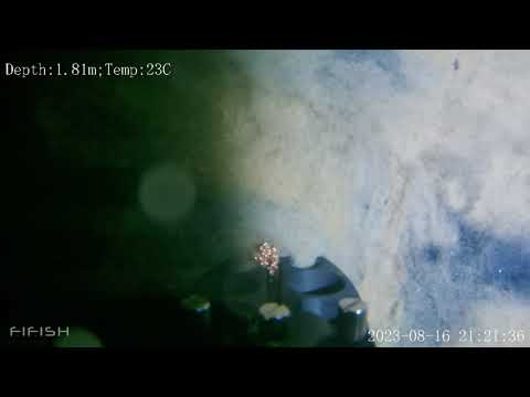 Видео: Лучшие находки с подводного дрона FIFISH V6 Expert за год пользования!