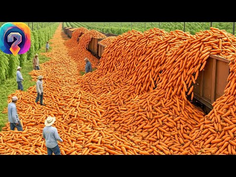 Видео: НЕВЕРОЯТНЫЙ урожай 2025: Как миллионы тонн фруктов и овощей собирают современные фермеры!