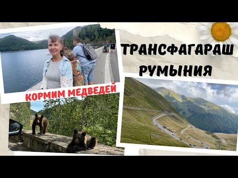 Видео: VLOG: Лучшая дорога в мире: Трансфагараш (Transfagarasan). Румыния 03.08.2024