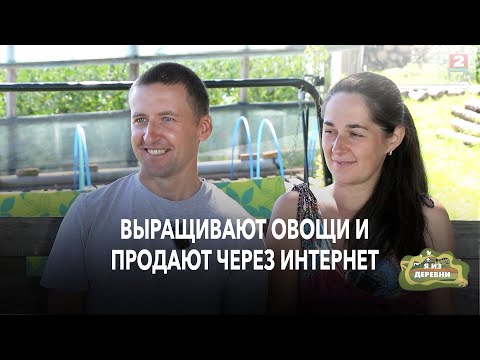 Видео: Семейный бизнес в деревне:  6 теплиц, продажи через интернет и четвертый ребенок Я из деревни
