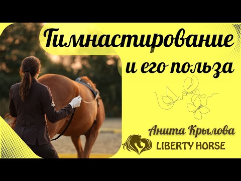 Видео: Гимнастирование лошади и его польза!
