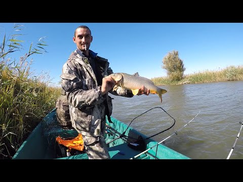 Видео: Рыбалка на макушатники ! Клёв карася , сазана , кругляка .