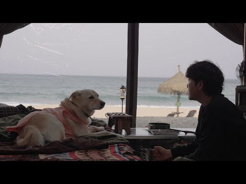 Видео: Первый кемпинг у моря с моей собакой 🐶🌊 | Мягкие волны и первые признаки весны