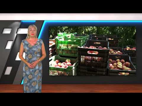 Видео: АГРОФОРУМ: Кой е виновникът за високите цени на плодовете в търговските вериги?