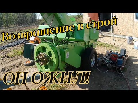 Видео: Он ожил!