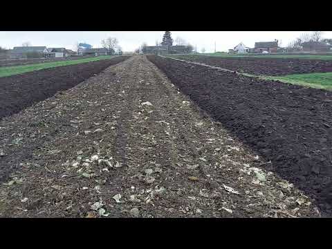 Видео: Переорюю поле після капусти