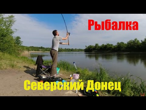 Видео: Рыбалка на самой красивой реке Северский Донец | Готовлю шакшуку на турбопечи | Собираю грибы