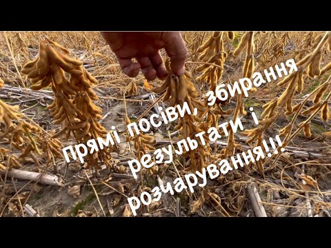 Видео: Соя. Прямі посіви! Підсумки