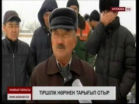Видео: Жамбыл облысы Кеңес ауылының тұрғындары тіршілік нәрінен тарығып отыр