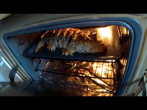 Видео: (468) НЕВЕРОЯТНЫЙ КРОКОДИЛ ИЗ ДУХОВКИ!! ЧАСТЬ 1-я .