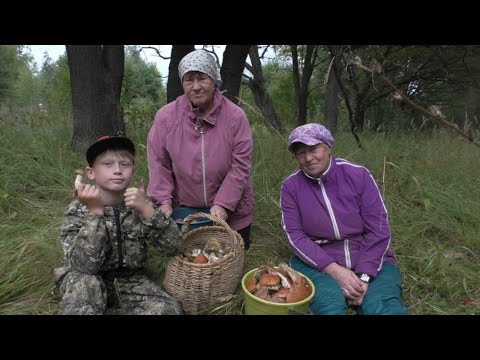 Видео: ПО ГРИБЫ В ЛЕС С ДВУМЯ БАБУШКАМИ! Белые грибы! БАБ ЛИДА ЗАПЛУТАЛАСЬ!