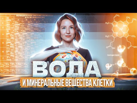 Видео: Вода и минеральные вещества клетки | ЕГЭ-2025 по биологии