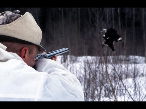 Видео: Охота на тетерева зимой на лунках. Winter hunting on a black grouse in the holes.