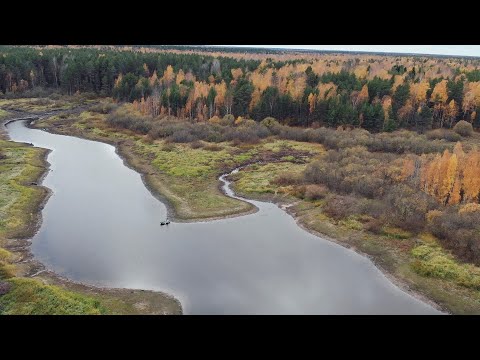 Видео: Щука на воблер поздней осенью | По малым рекам | Тайга 2023