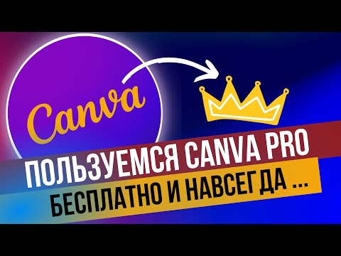 Видео: Canva для новичков: как создавать профессиональные дизайны бесплатно | Canva Pro Навсегда