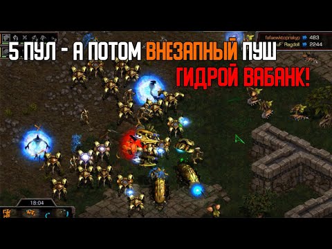 Видео: Старкрафт P VS Z Раш 5тым пулом и внезапный пуш гидрой!