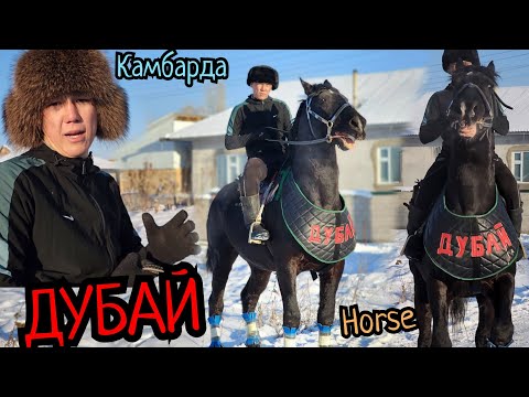 Видео: ДУБАЙ