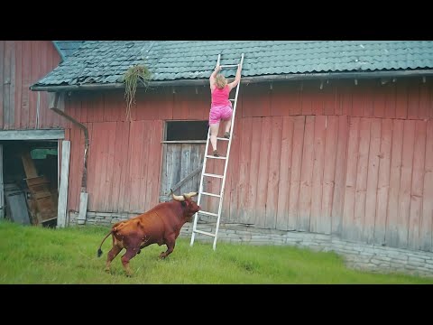 Видео: Слабоумие и Отвага! От Этих Идиотских Ошибок Волосы Дыбом!