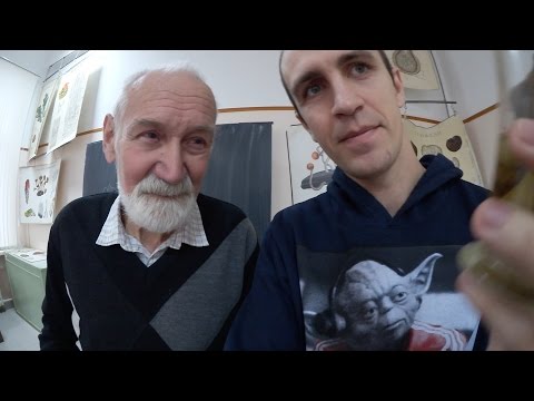 Видео: Пропуск в МГУ. Биофак