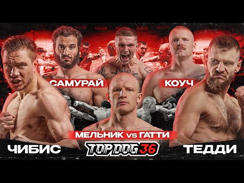 Видео: Чибис VS Тедди, Самурай VS Коуч, Мельник VS Гатти | TOP DOG 36, Санкт-Петербург