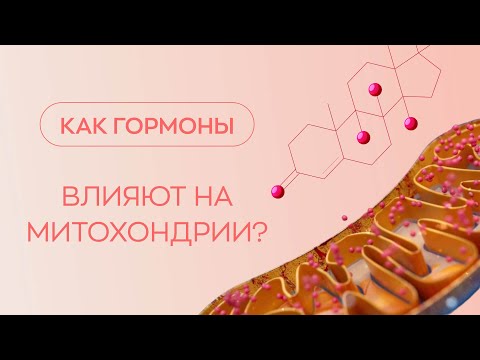 Видео: 🧬 Как гормоны влияют на митохондрии?