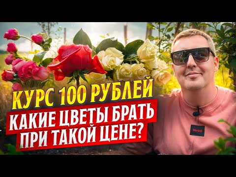 Видео: Как выбирать цветы в нынешних реалиях? | Плантация Sacha Rose | Эквадор | Цветы оптом