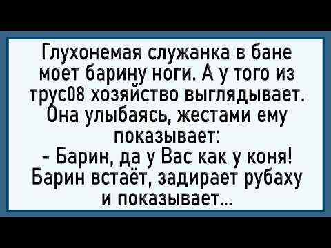 Видео: Как служанка моментом воспользовалась! Сборник свежих анекдотов!