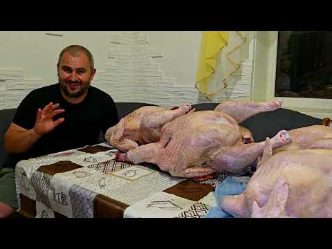 Видео: Шикарные индюки! Какой вес в 5 месяцев?, вырастить легче простого!