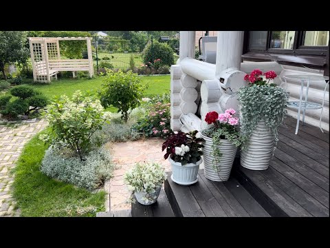 Видео: Подмосковный сад после тропических ливней и урагана.