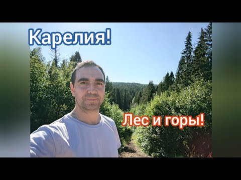 Видео: Карелия... Лес, горы, природа Карелии.