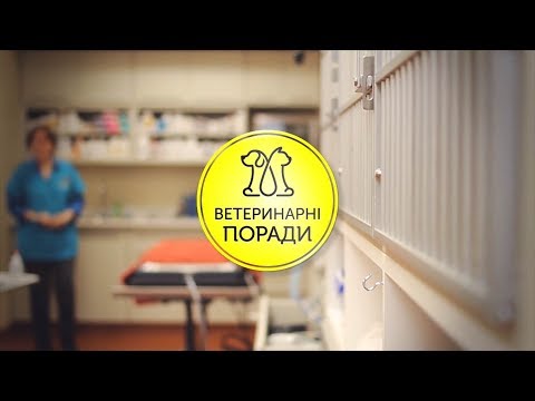 Видео: Способи та засоби боротьби проти кліщів і зовнішніх паразитів | Ветеринарні поради 1 Серія | Фауна