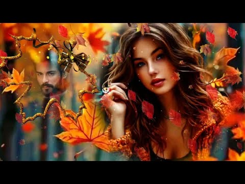 Видео: 🍂🎶🍁В подворотне осень с ветром танцевала🎶🌹🍂🍁