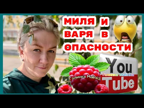 Видео: Деревенский дневник /Миля и Варя в опасности /Где мать? /Обзор /Мать-героиня /Леля Побируха  Быкова 