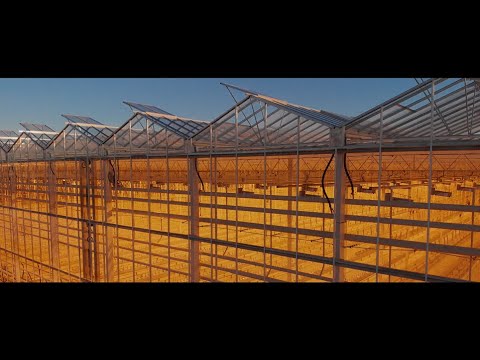 Видео: Тепличный комплекс "Мичуринский": от момента захода техники на участок до первого сбора урожая