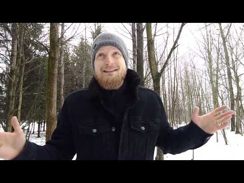 Видео: Будущее время норвежского языка: futurum (framtid)