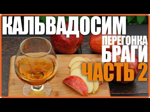 Видео: Кальвадос. Часть 2. Перегонка браги.