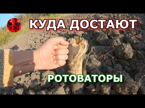 Видео: РОТОВАТОРЫ Дизельный мотоблок  Тест и мое мнение