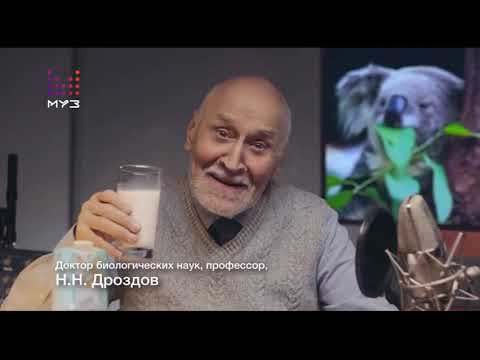 Видео: Анонсы и рекламные блоки (Муз-ТВ, 05.12.2020)